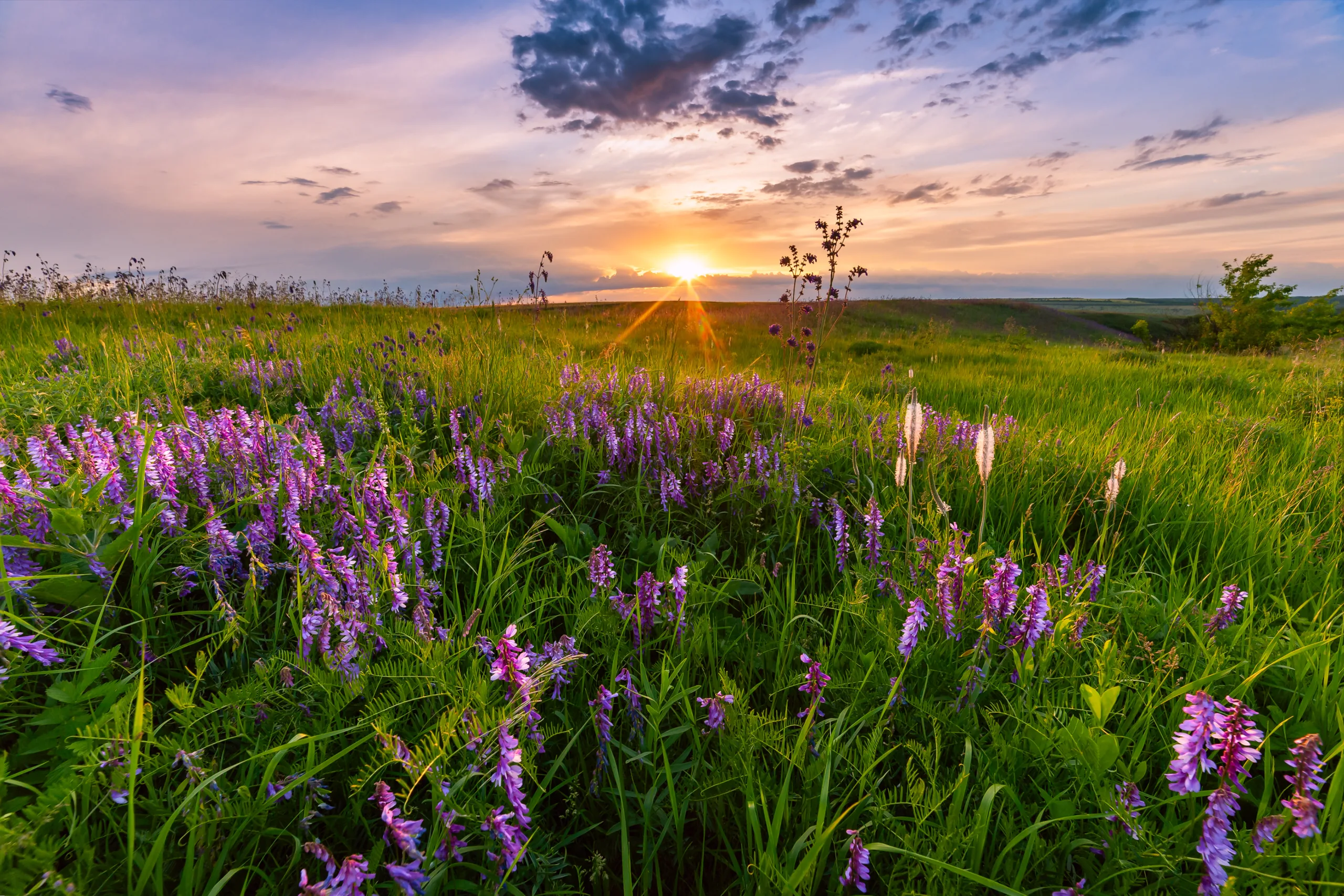 Say Cheese! 5 Reasons Why Spring Mini Photography Sessions are a Must-Try