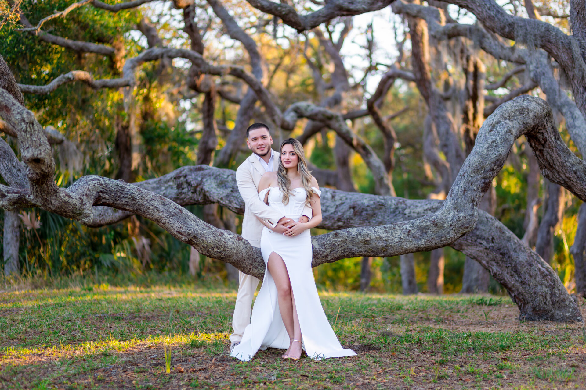 Bride and groom embracing for a romantic outdoor wedding portrait under a large sprawling tree in Tarpon Springs, FL.